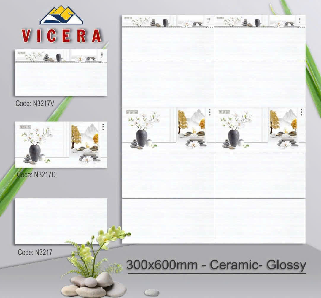 Gạch ốp tường 30x60cm Vicera (Viền)-4364